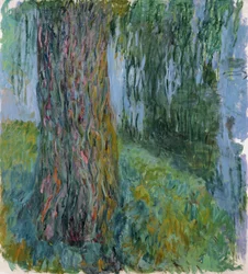 Trauerweide und der Seerosenteich, 1916-19